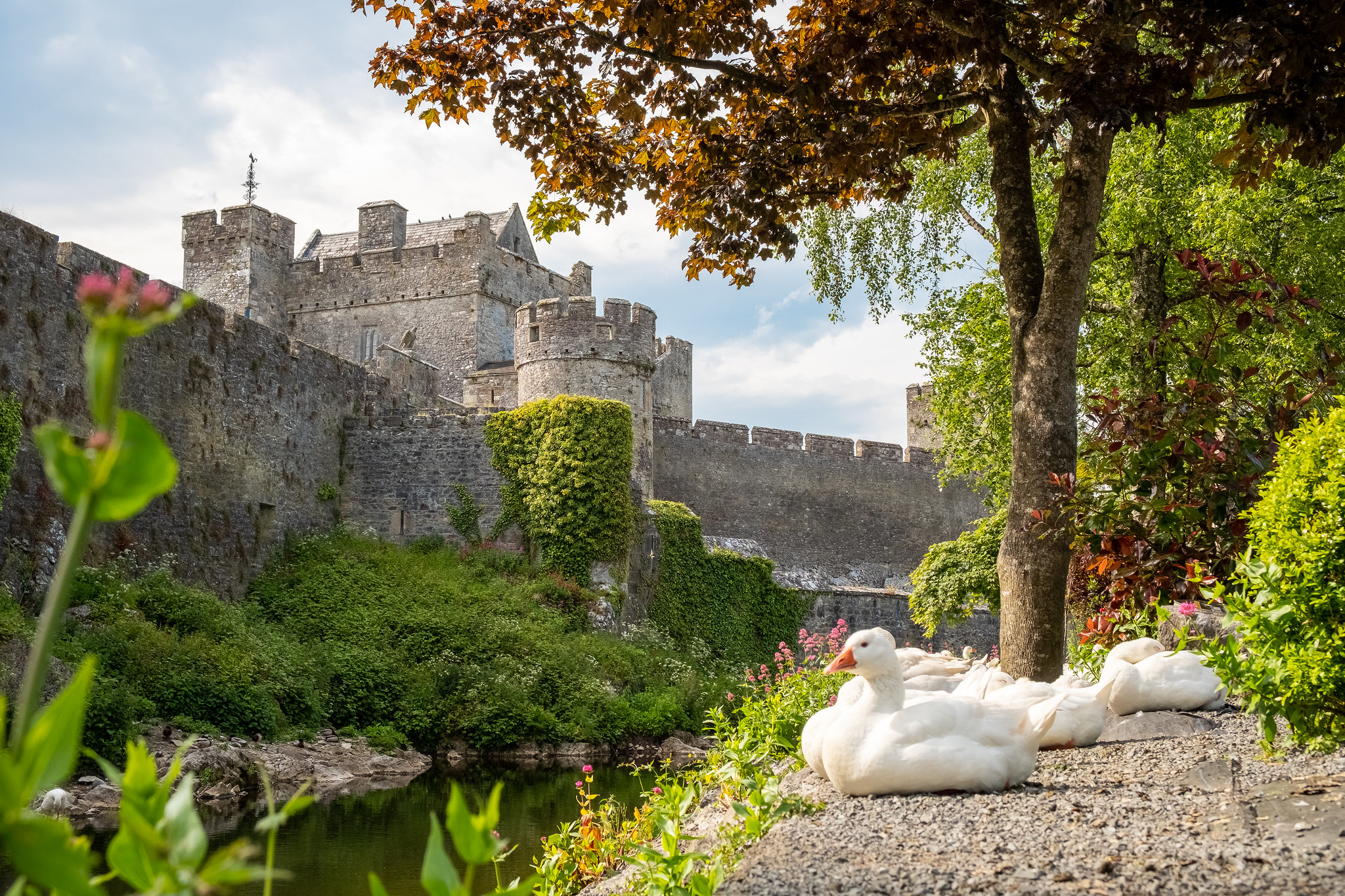 Historic stone castle surrounded by greenery and water at Cahir